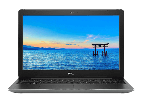 Dell Inspiron 3595-1789